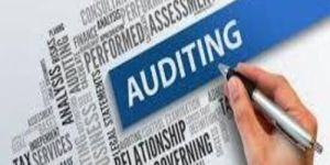 Auditing Services