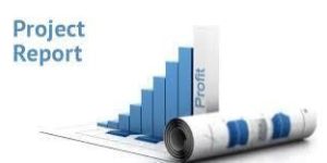 Project Report Services