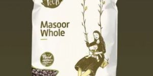 MASOOR WHOLE