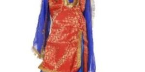 Punjabi Folk Dance Fancy Dress Costume for Girls