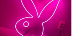 Playboy Neon Sign Board