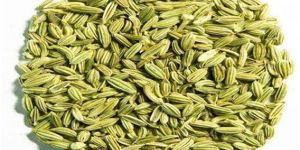 Fennal Seeds