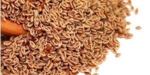 Psyllium Husk