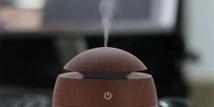 Sage Aroma Diffuser Air Humidifier with Colorful Change for Office (D001)