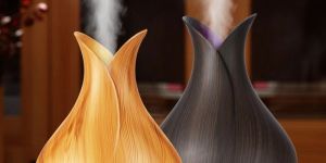 Sage Aroma Diffuser Air Humidifier with Colorful Change for Office (D002)