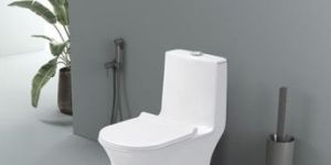 SVELTA 6D Syphonic One Piece Closet