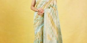 Handloom Banarasi Silk Cotton Saree with Jaal Motifs