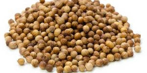 Coriander