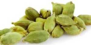 Green Cardamom