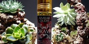 Zoravar Ambar Oudh Roll on Attar Unisex Perfume