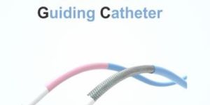 Amber- Guiding Catheter