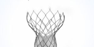 VIENNA AORTIC VALVE SE - Transcatheter Aortic Valve