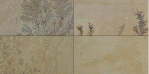 Fossil Mint Sandstone