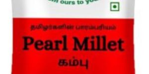 Pearl Millet ( Kambu)