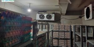 Cold Room for Meat and Poultry