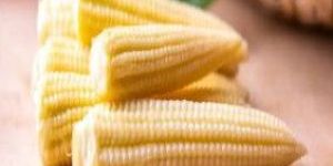 Frozen Baby Corn Whole