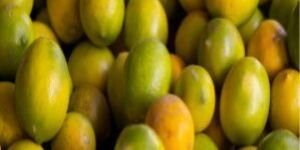 Yellow and Green Lemon