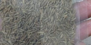 Cumin Brown Seed