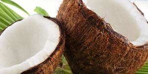 Coconut