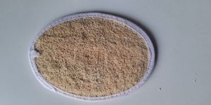 Loofah Sponges