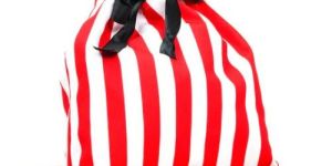 RED And White Color STRIPES Printed Gift Bag