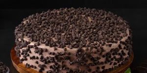 Choco Chip Muddy Chocolate Cake