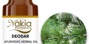 DEODAR AYURVEDIC HERBAL OIL