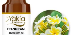 FRANGIPANI ABSOLUTE OIL USED FOR PERFUME