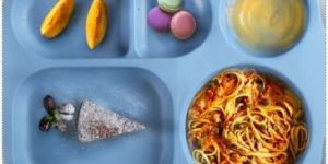 Plastic Dinner Plate