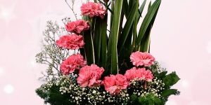Carnation Flower Box Arrangement