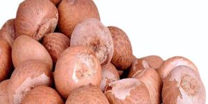 Betel Nuts
