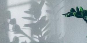 Ladies Leather Wallets