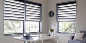 Window Curtain Blinds