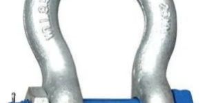 Bow Shackle for Industrial