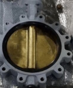 Hastelloy C276/B3 Lug Butterfly Valve