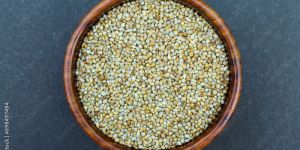 Millet Seed