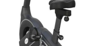 Gamma Upright Bike