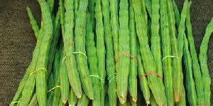 Natural Fresh Drumsticks