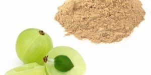 Amla Extract