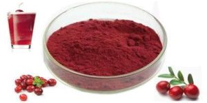 Cranberry Juice Powder
