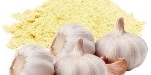 Garlic Extract