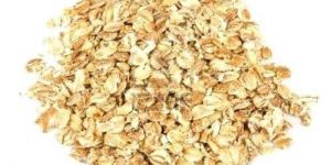 Oat Extract