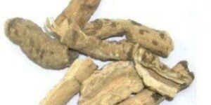 Organic Nishoth Extract