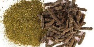 Piper Longum Extract
