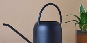 Metal Watering Can for Gardening