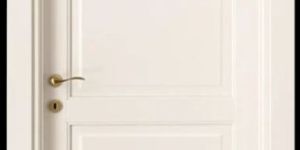 Charumati Wooden Door