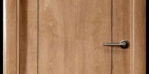 Elegant Veneer Door
