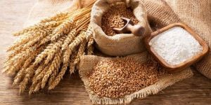 Wheat Flour