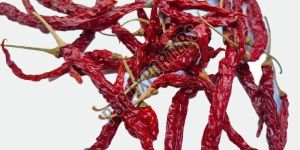 Byadgi Syngenta 5531 Dry Red Chilli