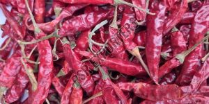 Shark Teja Dry Red Chilli